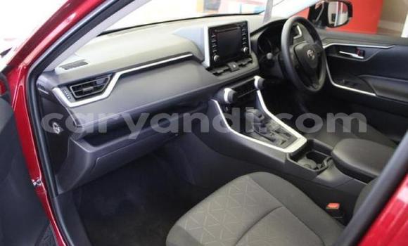 Buy Used Toyota RAV4 Red Car in Livingstone in Zambia Buy Used Toyota RAV4 Red Car in Livingstone in Zambia
