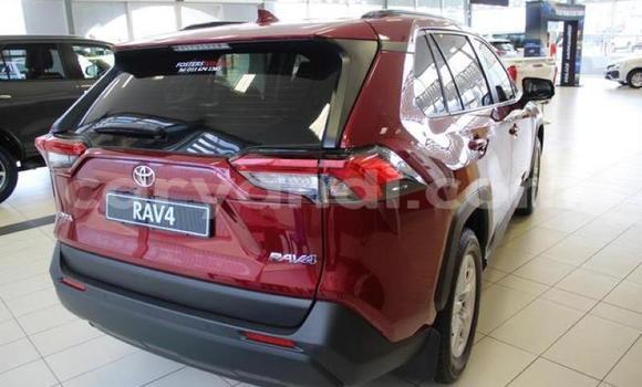 Buy Used Toyota RAV4 Red Car in Livingstone in Zambia Buy Used Toyota RAV4 Red Car in Livingstone in Zambia