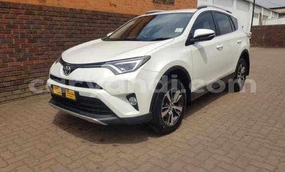 Buy Used Toyota RAV4 White Car in Chingola in Zambia Buy Used Toyota RAV4 White Car in Chingola in Zambia
