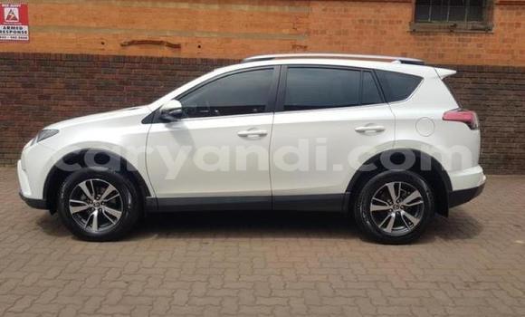 Buy Used Toyota RAV4 White Car in Chingola in Zambia Buy Used Toyota RAV4 White Car in Chingola in Zambia