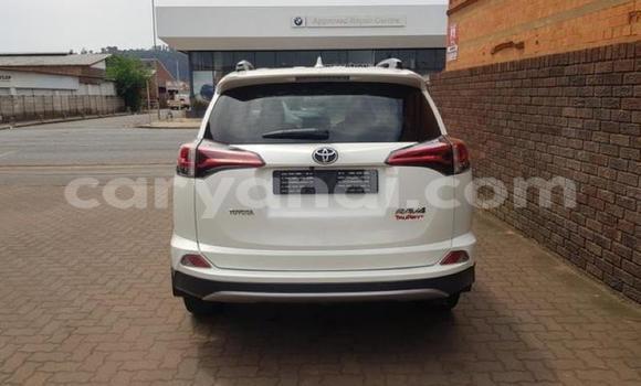 Buy Used Toyota RAV4 White Car in Chingola in Zambia Buy Used Toyota RAV4 White Car in Chingola in Zambia