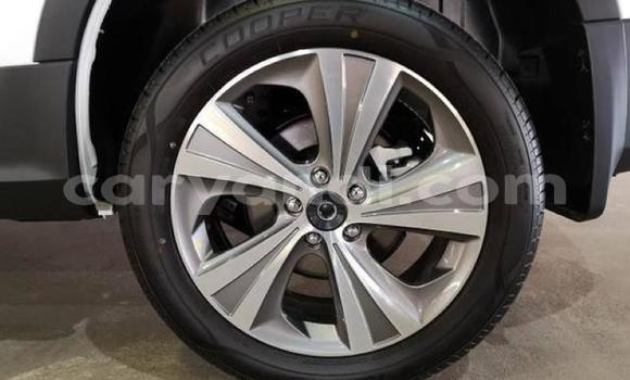 Tenga Tsaru Haval H6 Chena Mota in Chingola in Zambia Tenga Tsaru Haval H6 Chena Mota in Chingola in Zambia