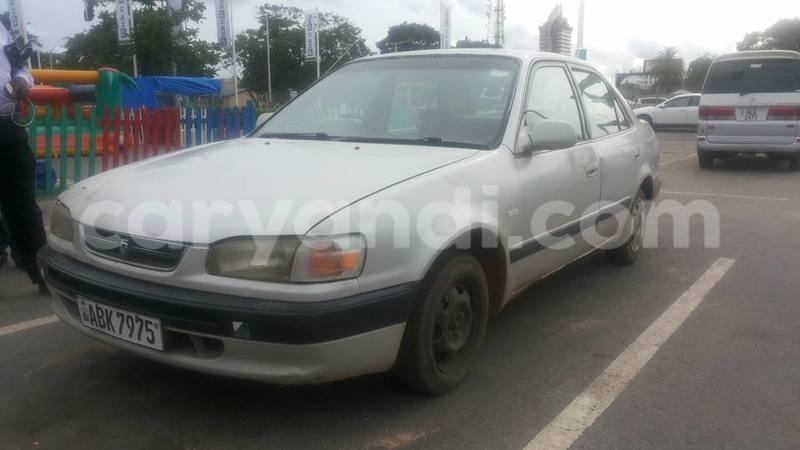 Big with watermark 15578737 1281570078576389 5086098407229006862 n