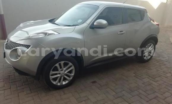 Tenga Tsaru Nissan Juke Sirivha Mota in Chingola in Zambia Tenga Tsaru Nissan Juke Sirivha Mota in Chingola in Zambia