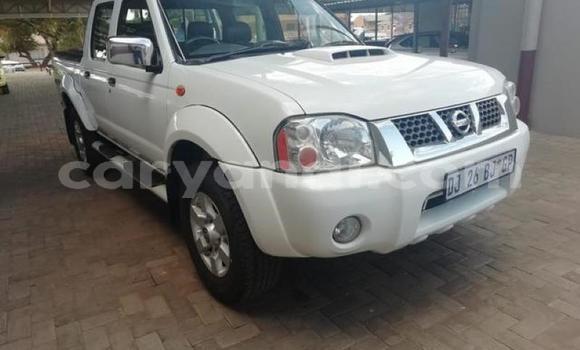 Tenga Tsaru Nissan NP 300 Chena Mota in Chingola in Zambia Tenga Tsaru Nissan NP 300 Chena Mota in Chingola in Zambia