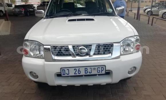 Tenga Tsaru Nissan NP 300 Chena Mota in Chingola in Zambia Tenga Tsaru Nissan NP 300 Chena Mota in Chingola in Zambia