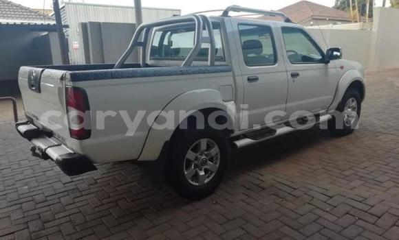 Tenga Tsaru Nissan NP 300 Chena Mota in Chingola in Zambia Tenga Tsaru Nissan NP 300 Chena Mota in Chingola in Zambia