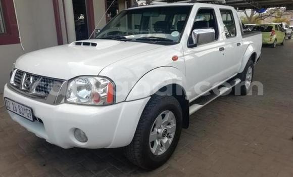 Tenga Tsaru Nissan NP 300 Chena Mota in Chingola in Zambia Tenga Tsaru Nissan NP 300 Chena Mota in Chingola in Zambia