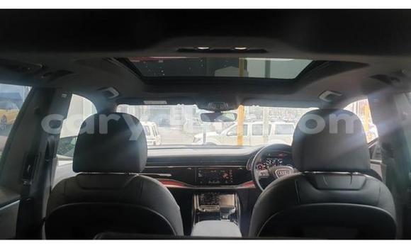 Tenga Tsaru Audi Q8 Chena Mota in Livingstone in Zambia Tenga Tsaru Audi Q8 Chena Mota in Livingstone in Zambia