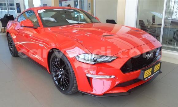 Tenga Tsaru Ford Mustang Tsvuku Mota in Chingola in Zambia Tenga Tsaru Ford Mustang Tsvuku Mota in Chingola in Zambia