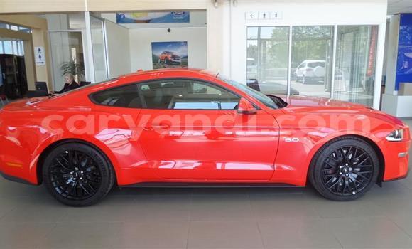 Tenga Tsaru Ford Mustang Tsvuku Mota in Chingola in Zambia Tenga Tsaru Ford Mustang Tsvuku Mota in Chingola in Zambia