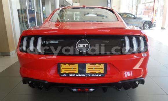 Tenga Tsaru Ford Mustang Tsvuku Mota in Chingola in Zambia Tenga Tsaru Ford Mustang Tsvuku Mota in Chingola in Zambia