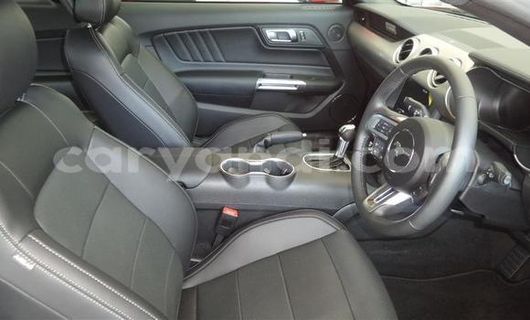 Tenga Tsaru Ford Mustang Tsvuku Mota in Chingola in Zambia Tenga Tsaru Ford Mustang Tsvuku Mota in Chingola in Zambia