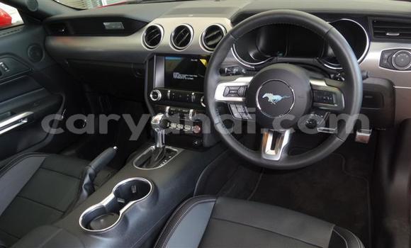 Tenga Tsaru Ford Mustang Tsvuku Mota in Chingola in Zambia Tenga Tsaru Ford Mustang Tsvuku Mota in Chingola in Zambia