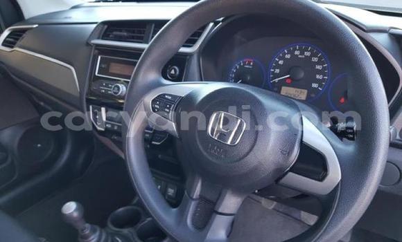 Tenga Tsaru Honda Brio Zvimwe Mota in Livingstone in Zambia Tenga Tsaru Honda Brio Zvimwe Mota in Livingstone in Zambia