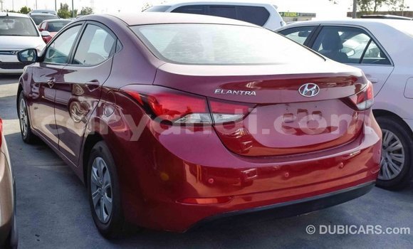 Buy Import Hyundai Elantra Red Car in Import - Dubai in Zambia Buy Import Hyundai Elantra Red Car in Import - Dubai in Zambia