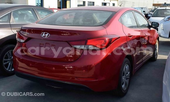 Buy Import Hyundai Elantra Red Car in Import - Dubai in Zambia Buy Import Hyundai Elantra Red Car in Import - Dubai in Zambia