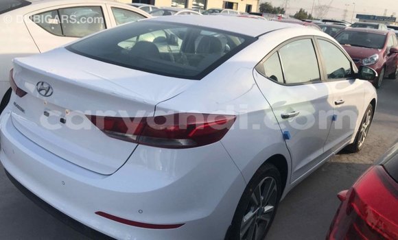 Acheter Import Voiture Hyundai Elantra Blanc à Import - Dubai, Zambie Acheter Import Voiture Hyundai Elantra Blanc à Import - Dubai, Zambie