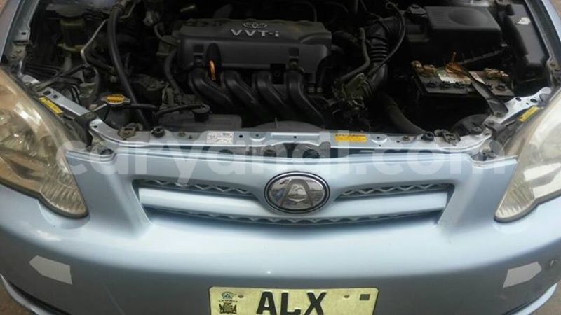 Big with watermark 15285033 1129442643839909 5134408343826197814 n