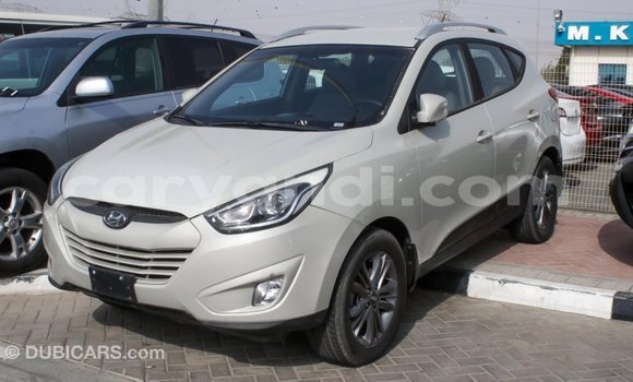 Tenga Imported Hyundai Tucson Beige Mota in Import - Dubai in Zambia Tenga Imported Hyundai Tucson Beige Mota in Import - Dubai in Zambia