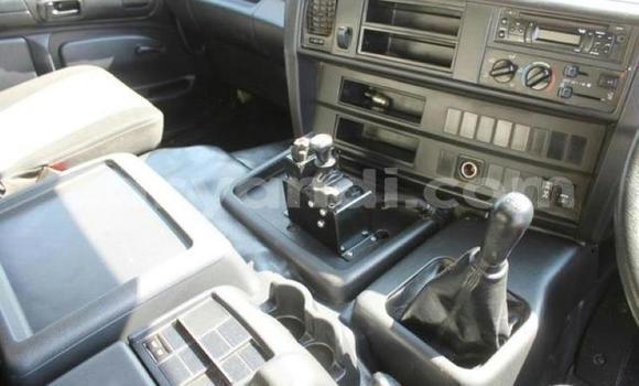 Tenga Tsaru Hino Ranger Chena Rori in Kitwe in Zambia Tenga Tsaru Hino Ranger Chena Rori in Kitwe in Zambia