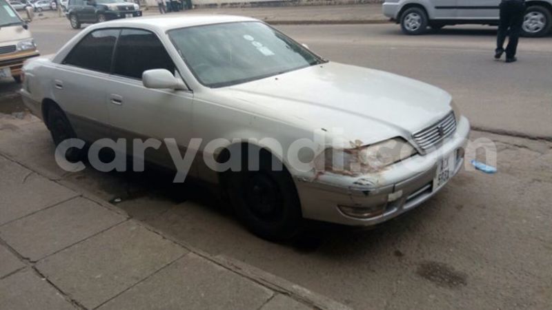 Big with watermark 15284065 1129442633839910 5230908860684797680 n