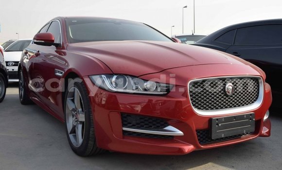 Buy Import Jaguar XE Red Car in Import - Dubai in Zambia