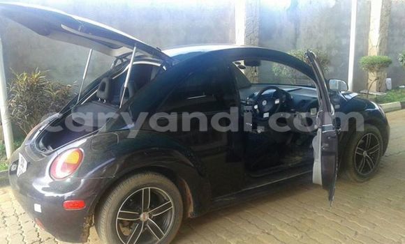 Buy Used Volkswagen Beetle Black Car in Chipata in Zambia