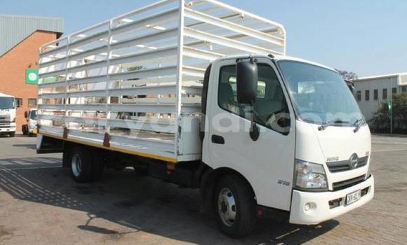 Buy Used Hino 300 Series White Truck in Lusaka in Zambia Buy Used Hino 300 Series White Truck in Lusaka in Zambia