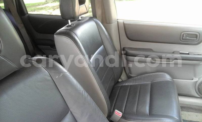 Big with watermark 15590123 1873629849587474 5620022596992670559 n