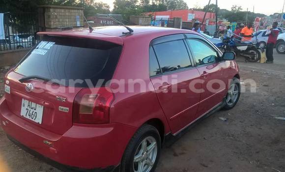Buy Used Toyota Runx Red Car in Chipata in Zambia Buy Used Toyota Runx Red Car in Chipata in Zambia