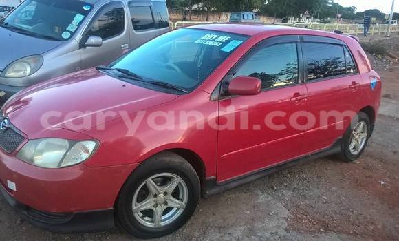 Buy Used Toyota Runx Red Car in Chipata in Zambia Buy Used Toyota Runx Red Car in Chipata in Zambia