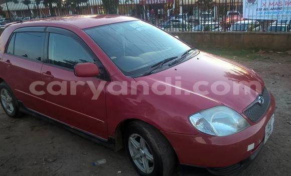Buy Used Toyota Runx Red Car in Chipata in Zambia Buy Used Toyota Runx Red Car in Chipata in Zambia