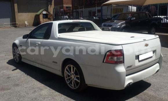 Buy Used Chevrolet Lumina White Car in Chingola in Zambia Buy Used Chevrolet Lumina White Car in Chingola in Zambia
