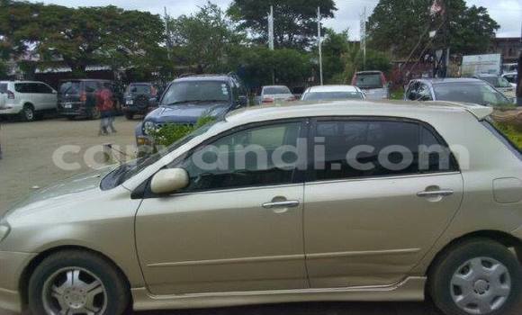 Buy Used Toyota Allex Other Car in Chipata in Zambia Buy Used Toyota Allex Other Car in Chipata in Zambia