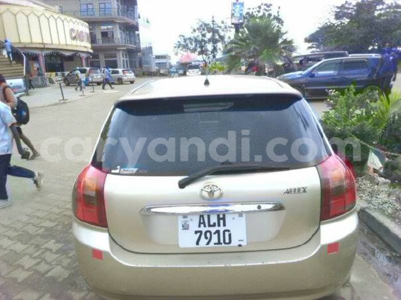 Big with watermark 15284065 1129442633839910 5230908860684797680 n