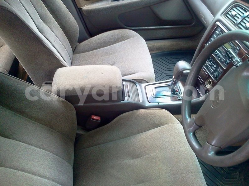 Big with watermark 15590123 1873629849587474 5620022596992670559 n