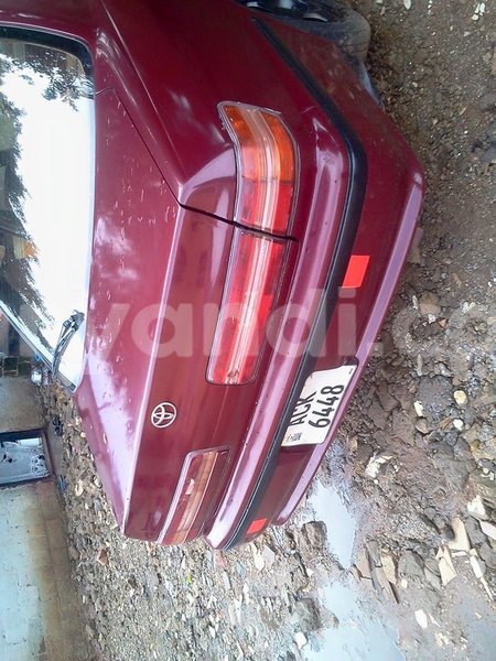 Big with watermark 15578737 1281570078576389 5086098407229006862 n