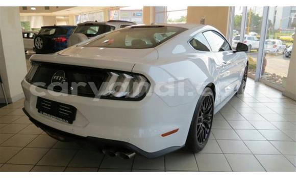 Buy Used Ford Mustang White Car in Lusaka in Zambia Buy Used Ford Mustang White Car in Lusaka in Zambia