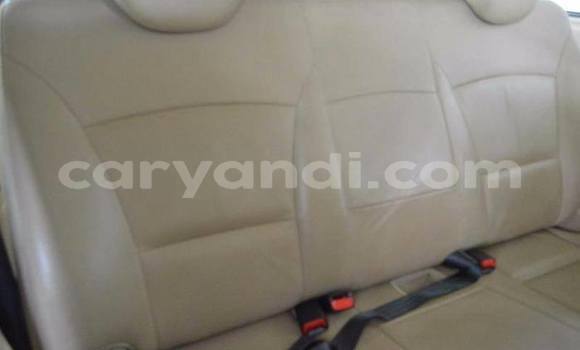 Tenga Tsaru Hyundai H1 Sirivha Mota in Lusaka in Zambia Tenga Tsaru Hyundai H1 Sirivha Mota in Lusaka in Zambia