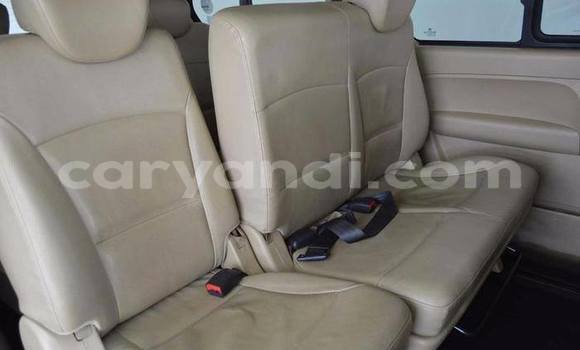 Tenga Tsaru Hyundai H1 Sirivha Mota in Lusaka in Zambia Tenga Tsaru Hyundai H1 Sirivha Mota in Lusaka in Zambia