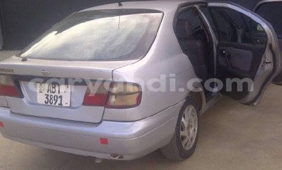 Buy Used Nissan Primera Silver Car in Chipata in Zambia Buy Used Nissan Primera Silver Car in Chipata in Zambia