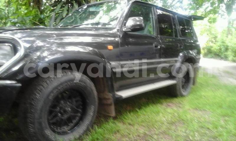 Big with watermark 15284065 1129442633839910 5230908860684797680 n