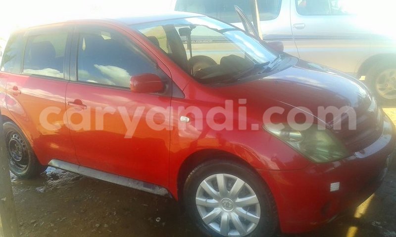 Big with watermark 15284065 1129442633839910 5230908860684797680 n