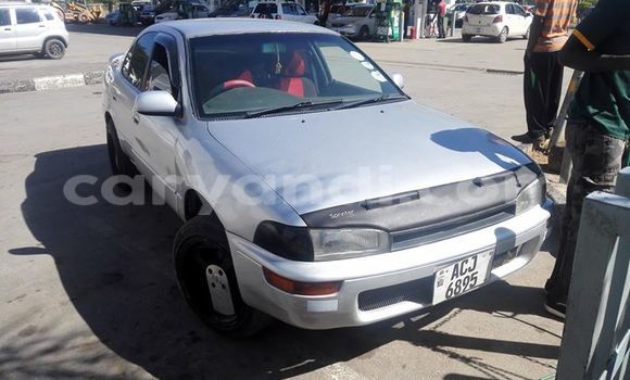 Tenga Tsaru Toyota Corolla Sirivha Mota in Chipata in Zambia Tenga Tsaru Toyota Corolla Sirivha Mota in Chipata in Zambia