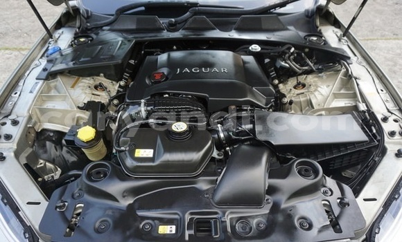 Acheter Import Voiture Jaguar XJ Autre à Lusaka, Zambie Acheter Import Voiture Jaguar XJ Autre à Lusaka, Zambie