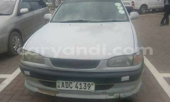 Nunua Ilio tumika Toyota Corolla Fedha Gari ndani ya Chipata nchini Zambia Nunua Ilio tumika Toyota Corolla Fedha Gari ndani ya Chipata nchini Zambia