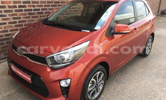 Acheter Occasion Voiture Kia Picanto Autre à Chingola, Zambie Acheter Occasion Voiture Kia Picanto Autre à Chingola, Zambie
