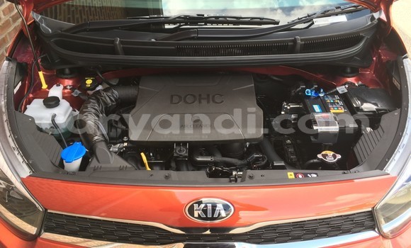 Acheter Occasion Voiture Kia Picanto Autre à Chingola, Zambie Acheter Occasion Voiture Kia Picanto Autre à Chingola, Zambie