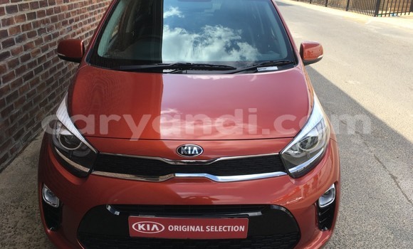 Acheter Occasion Voiture Kia Picanto Autre à Chingola, Zambie Acheter Occasion Voiture Kia Picanto Autre à Chingola, Zambie